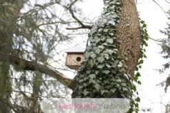 Abri pour écureuils - Esschert Design