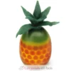 Ananas - Erzi