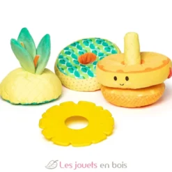 Ananas multi-textures à empiler - Melissa & Doug