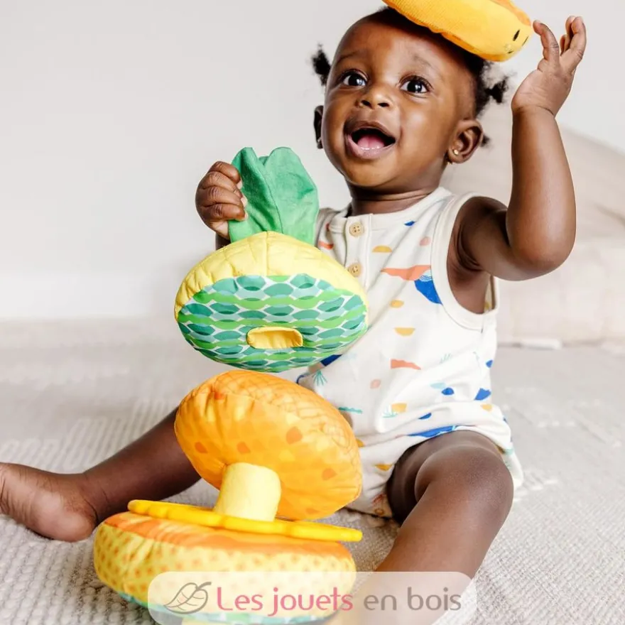 Ananas multi-textures à empiler - Melissa & Doug
