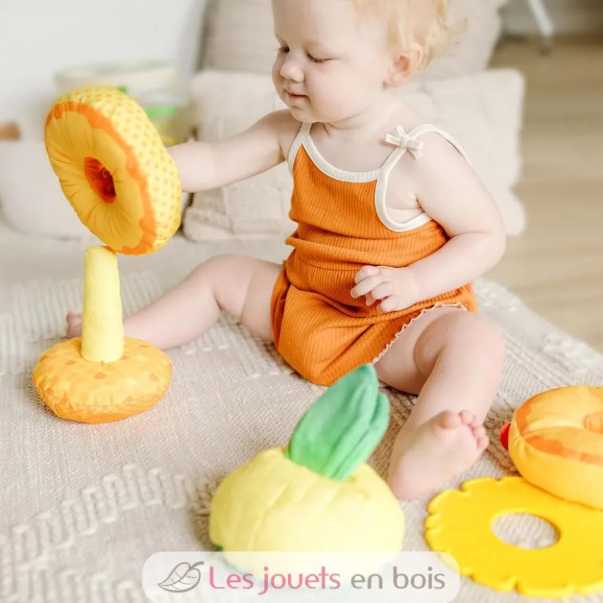 Ananas multi-textures à empiler - Melissa & Doug