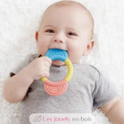 Anneau de dentition - Hape Toys