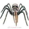 Araignée Mygale 3D - Bones & More