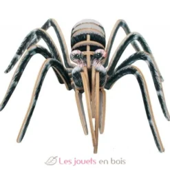 Araignée Mygale 3D - Bones & More