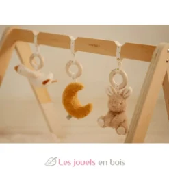 Arche d’éveil en bois Newborn - Little Dutch