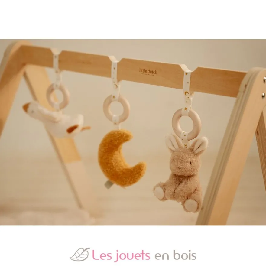 Arche d’éveil en bois Newborn - Little Dutch