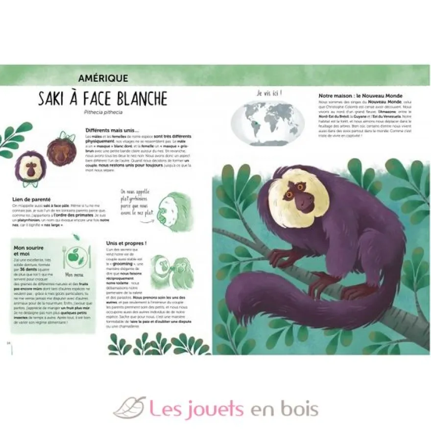 Atlas de la Biodiversité - Animaux insolites et curieux - Sassi Junior