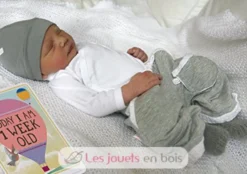BABY CARDS - Version Anglaise - Milestone