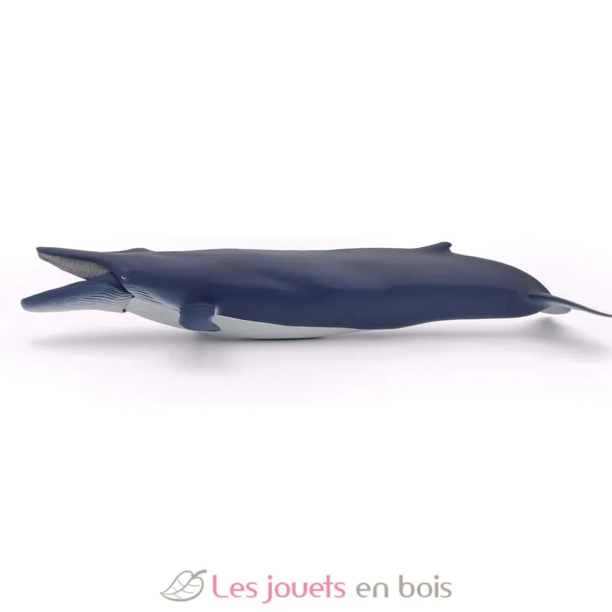 Baleine bleue - Papo