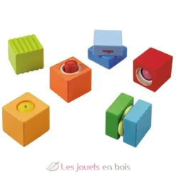 Blocs découverte - Haba