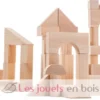 Blocs de construction 50 pièces - Plan Toys