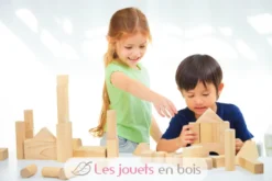 Blocs de construction 50 pièces - Plan Toys