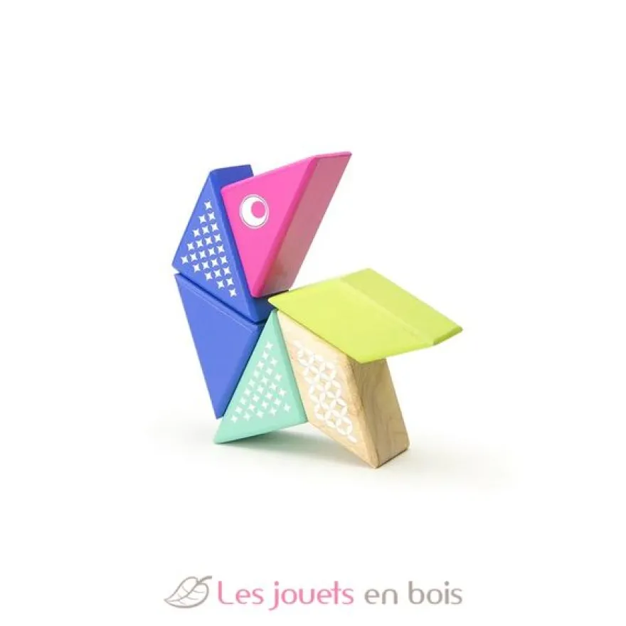 6 blocs en bois magnétiques - Colibri - Tegu