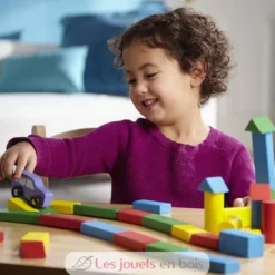 100 blocs en bois - Melissa & Doug