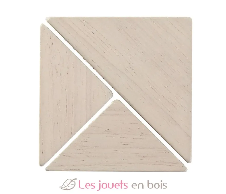 Blocs fraction - Plan Toys