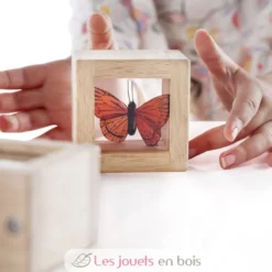 8 Blocs à trésors - Guidecraft