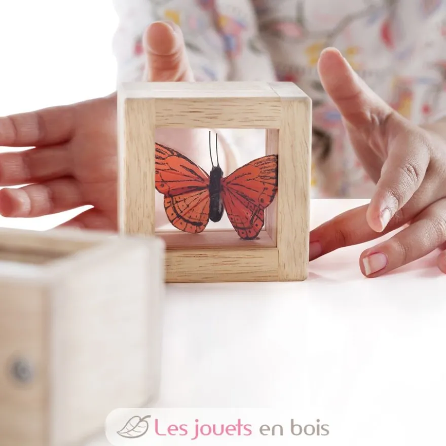 8 Blocs à trésors - Guidecraft