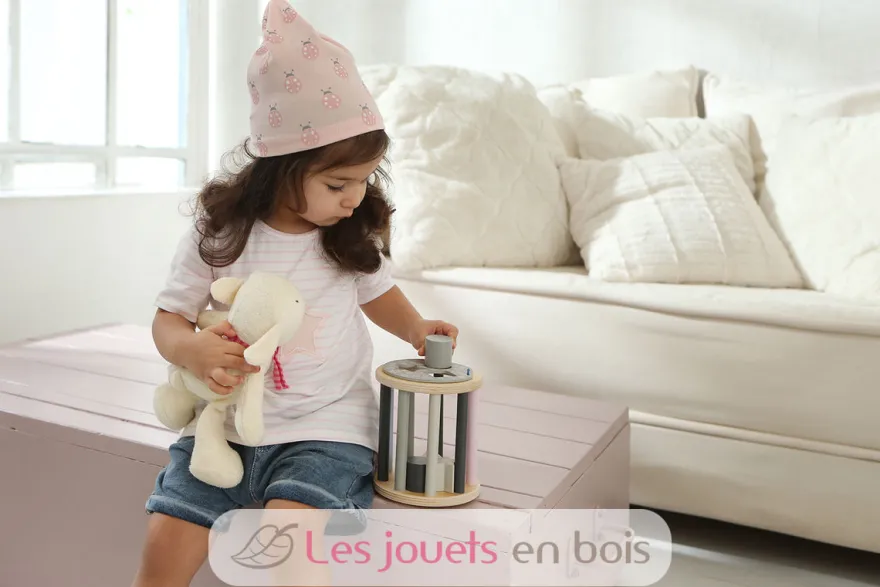 Boite à formes étoilée - Selecta