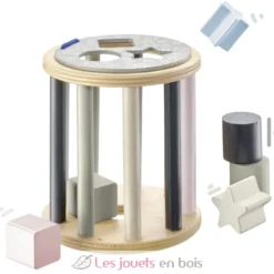 Boite à formes étoilée - Selecta