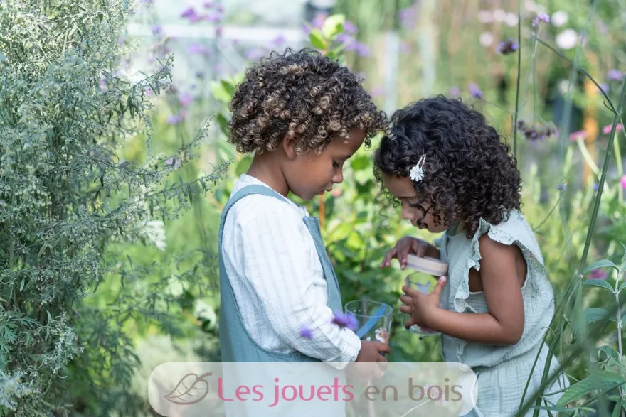 Boite à insectes Forest Friends - Little Dutch