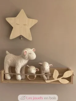 Boite musicale murale Etoile - Egmont Toys