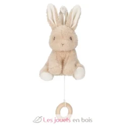 Boite à musique lapin Newborn - Little Dutch