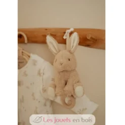 Boite à musique lapin Newborn - Little Dutch