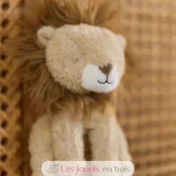 Boite à musique lion Safari Friends - Dès la naissance - Little Dutch