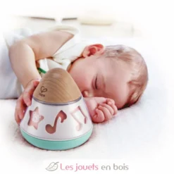 Boite à musique Tourne en rond turquoise - Dès la naissance - Hape