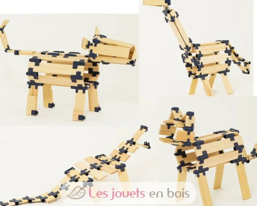 Boite 190 pièces TomTecT - TomTecT