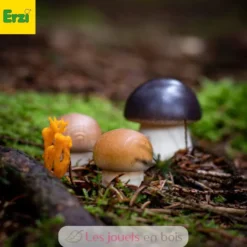 Bolet en bois marron - Erzi