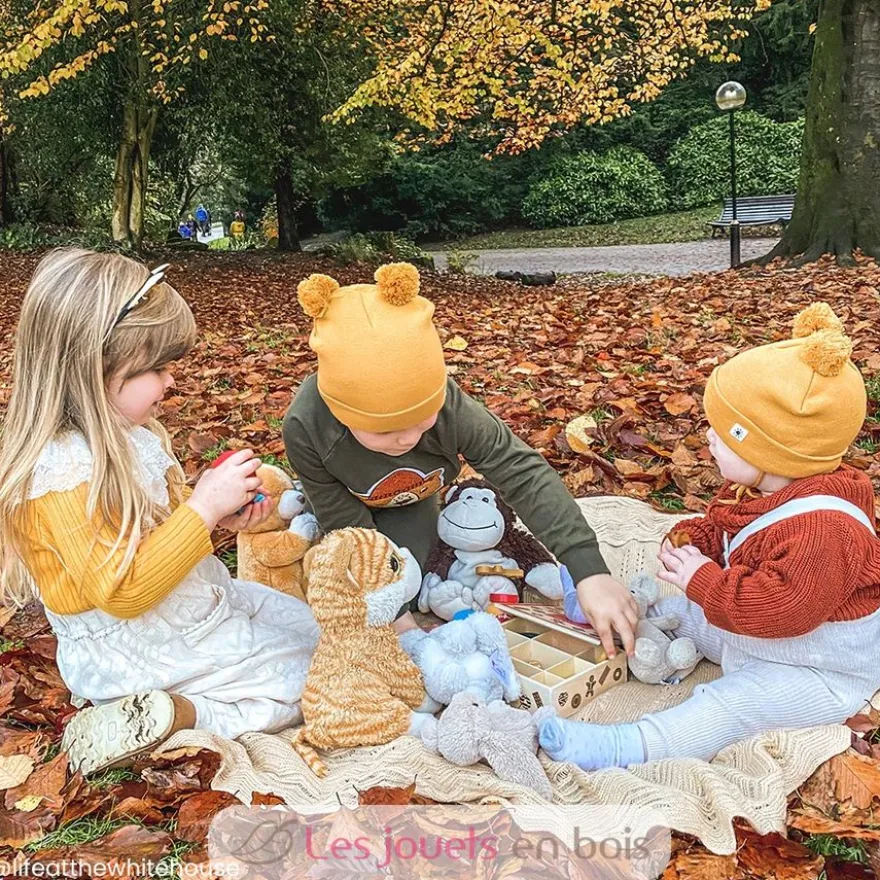 Boîte à biscuits en bois - Bigjigs Toys