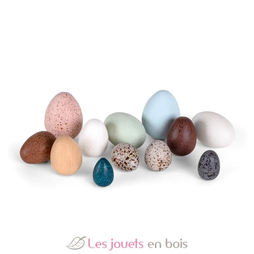 Boîte de 12 œufs en bois - Erzi