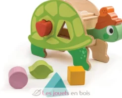 Boîte à formes Tortue - Tender Leaf Toys