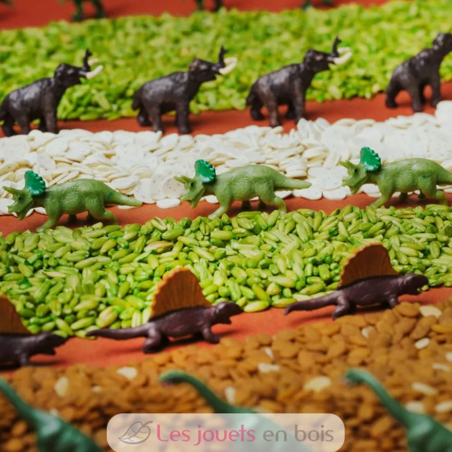 Bouteille sensorielle Spy Jurassic - Petit Boum