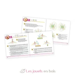 Bracelets d'amitié - Buki France