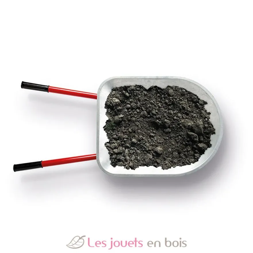 Brouette 2 roues pour enfant - Bigjigs Toys