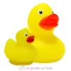 Bulle d'eau Famille Canard jaune - Plastique - Bass et Bass