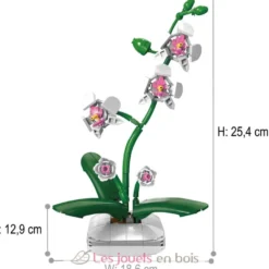 CaDA Creative - Pot de fleurs d'orchidée 237 pièces - Dès 8 ans