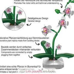 CaDA Creative - Pot de fleurs d'orchidée 237 pièces - Dès 8 ans