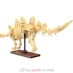 CaDA Creative - Squelette de Stégosaure 297 pièces - Dès 8 ans