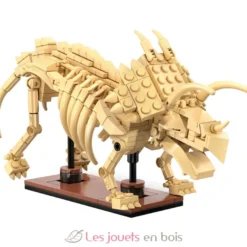 CaDA Creative - Squelette de Tricératops 272 pièces - Dès 8 ans