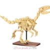 CaDA Creative - Squelette de Vélociraptor 256 pièces - Dès 8 ans