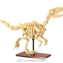 CaDA Creative - Squelette de Vélociraptor 256 pièces - Dès 8 ans