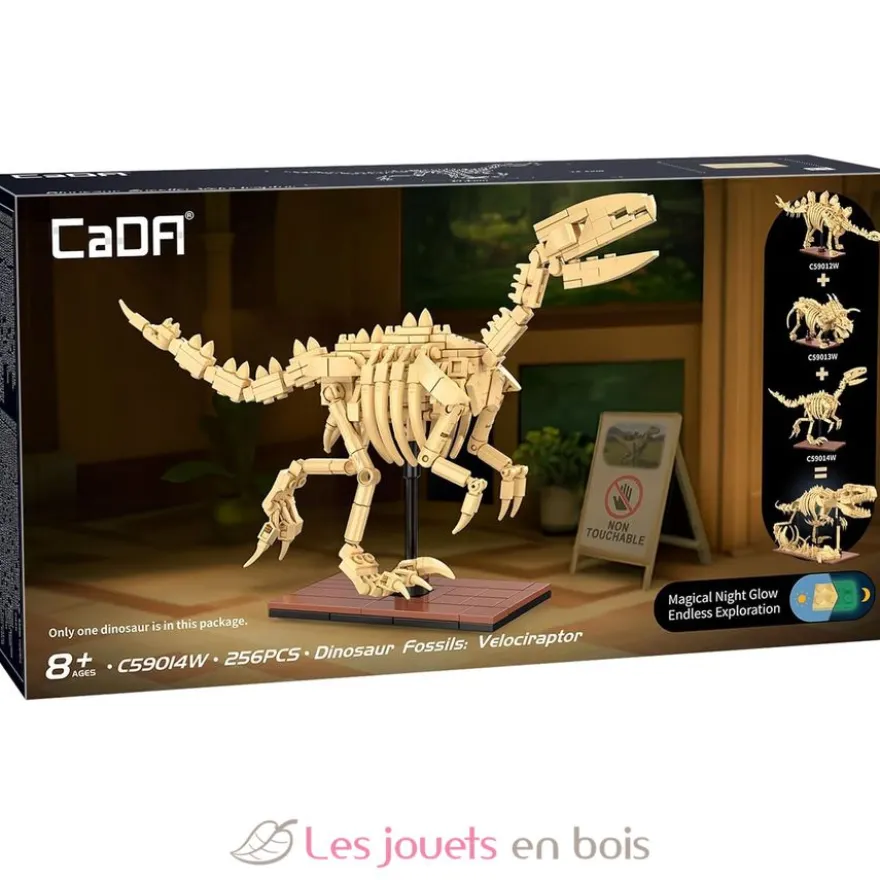 CaDA Creative - Squelette de Vélociraptor 256 pièces - Dès 8 ans