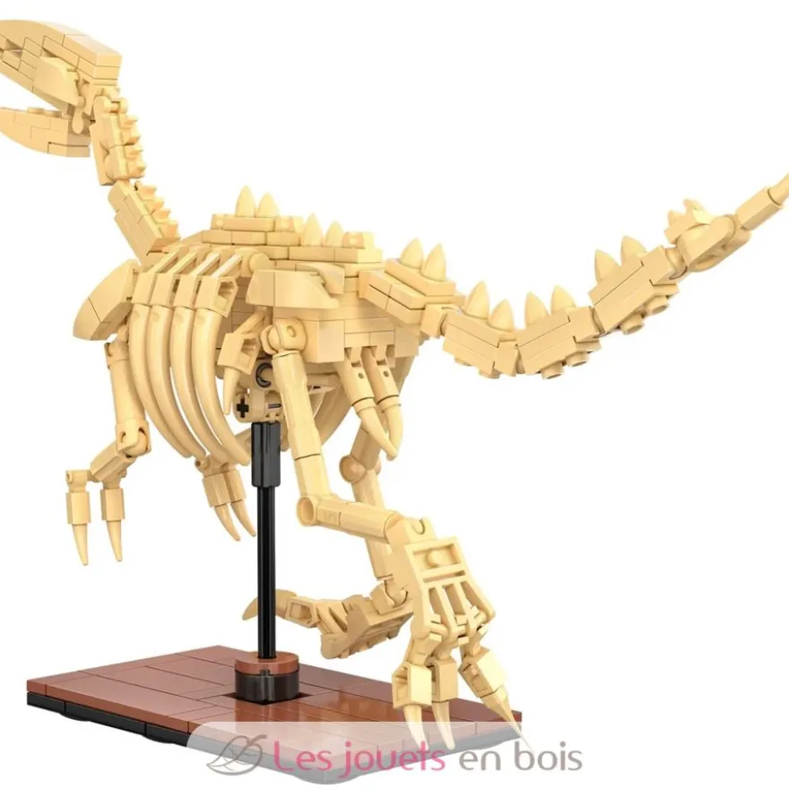 CaDA Creative - Squelette de Vélociraptor 256 pièces - Dès 8 ans