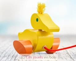 Canard à tirer - Selecta