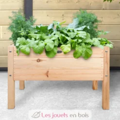 Carré potager pour enfant - Esschert Design