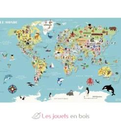 Carte du Monde magnétique Ingela P. Arrhenius - Vilac