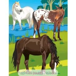 Cartes à gratter Les chevaux - Piccolia